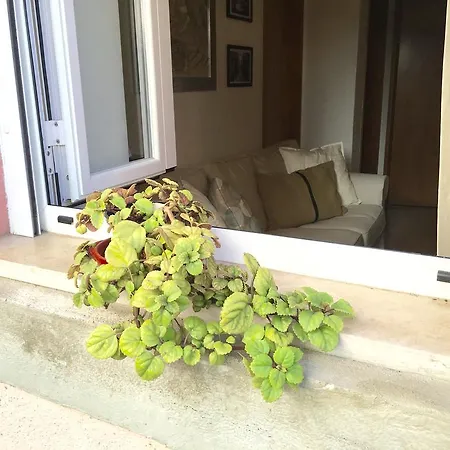Apartamento Apartamento Saraiva